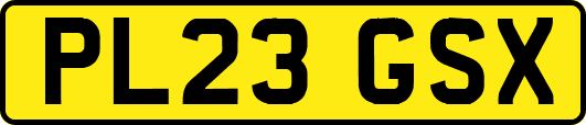 PL23GSX