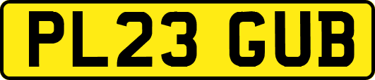 PL23GUB