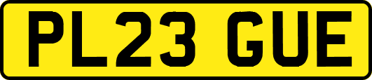 PL23GUE