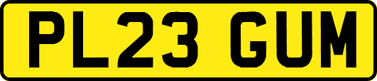 PL23GUM