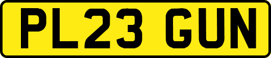 PL23GUN