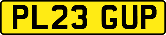 PL23GUP
