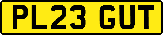 PL23GUT