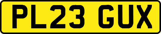 PL23GUX