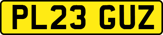 PL23GUZ