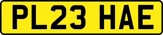 PL23HAE