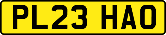 PL23HAO