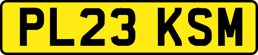 PL23KSM