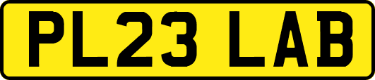 PL23LAB