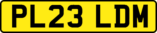 PL23LDM