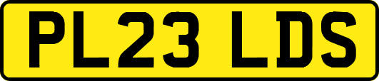 PL23LDS