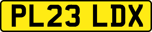 PL23LDX