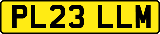PL23LLM