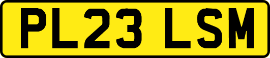 PL23LSM