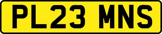 PL23MNS