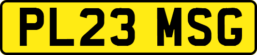 PL23MSG