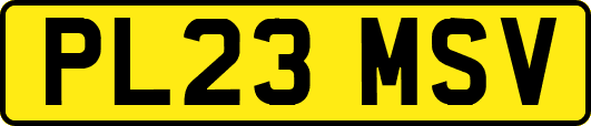PL23MSV