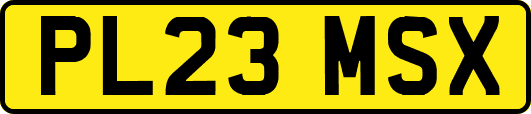 PL23MSX