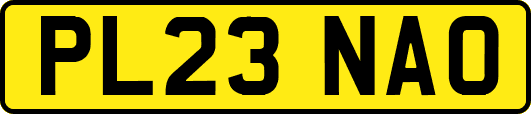 PL23NAO