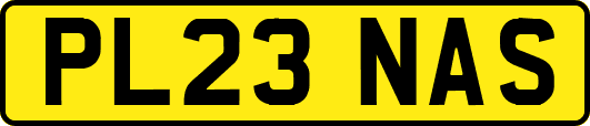 PL23NAS