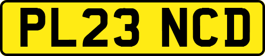 PL23NCD