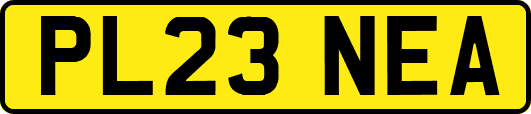 PL23NEA