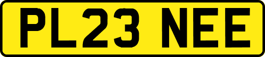 PL23NEE