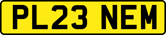 PL23NEM