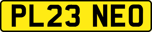 PL23NEO
