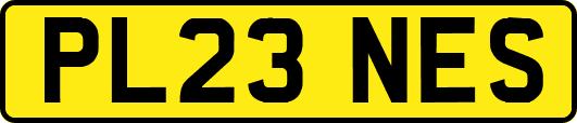 PL23NES