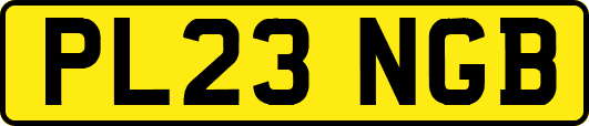 PL23NGB