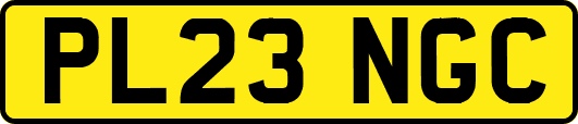PL23NGC