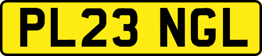 PL23NGL