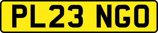 PL23NGO