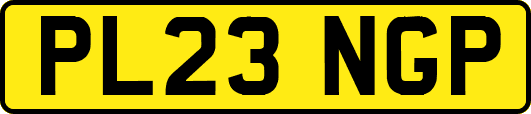 PL23NGP