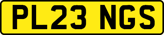 PL23NGS