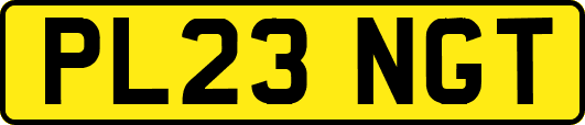 PL23NGT