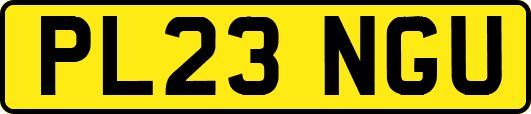 PL23NGU