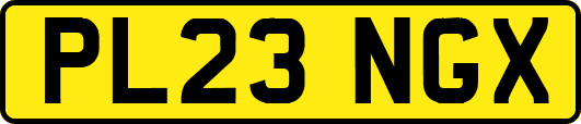 PL23NGX