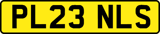 PL23NLS