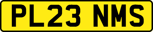 PL23NMS