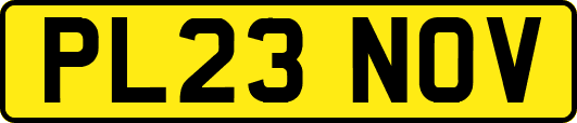 PL23NOV