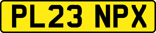 PL23NPX