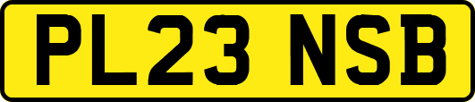 PL23NSB