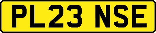 PL23NSE