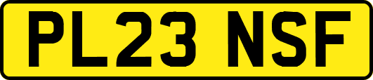 PL23NSF