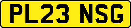 PL23NSG
