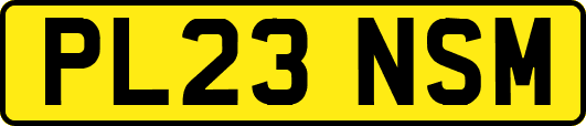 PL23NSM