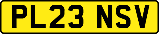 PL23NSV