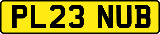 PL23NUB